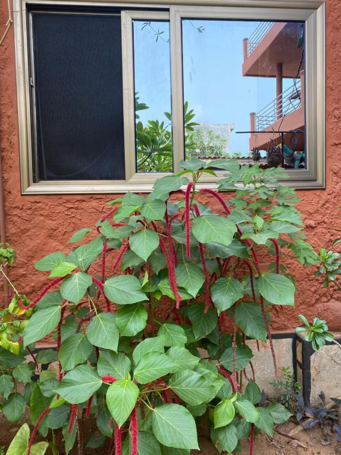 Residences Ouadada Porto-Novo Eksteriør billede